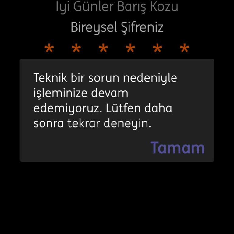 ING Mobile Giriş Yapamıyorum