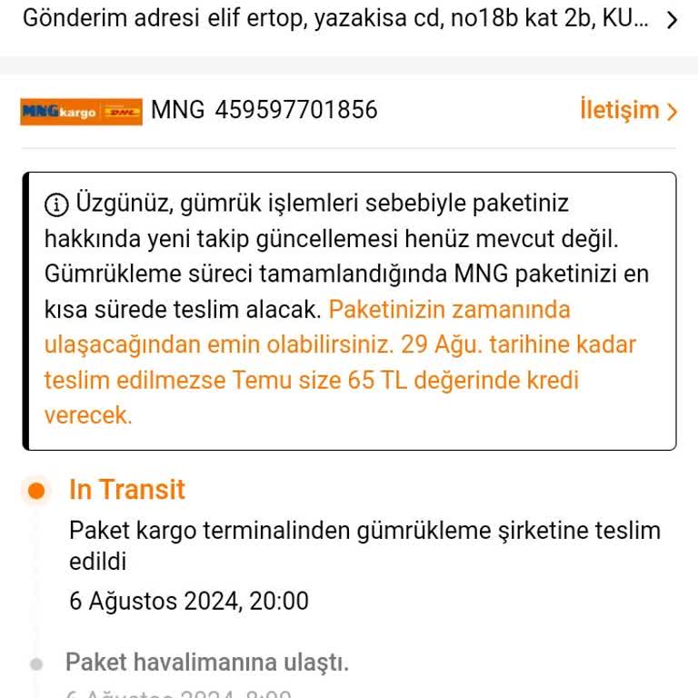 Temu In Transit Gümrükleme MNG
