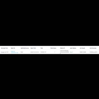 Enuygun.com Üzerinden Alınan Uçak Bileti
