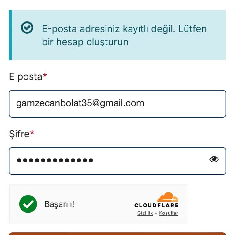 VFS Global VFS Belçika Çalışanları İlgisiz Maillere Alakasız Cevap Muhatap Yok.
