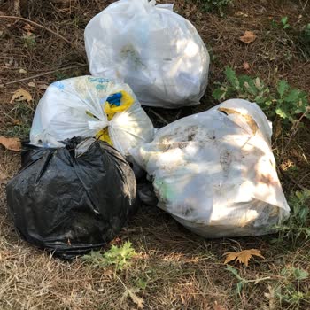 Çekmeköy Kaymakamlığı Orman Yangınlarına Davetiye Çıkaran Kır Düğünleri