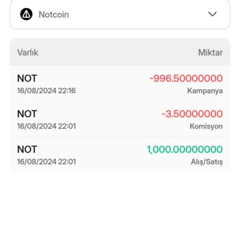 Bitlo Uygulamasında Yaşanan Para Kaybı Sorunu