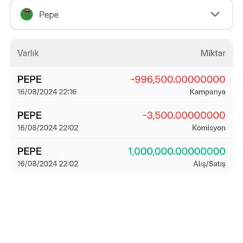 Bitlo Uygulamasında Yaşanan Para Kaybı Sorunu