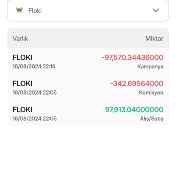 Bitlo Uygulamasında Yaşanan Para Kaybı Sorunu
