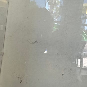 Tatilbudur Selinus Beach Club Hotel'de Hayal Kırıklığı Yaşadım