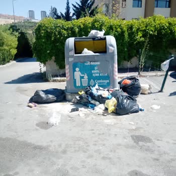 Çankaya Belediyesi Çöp Kokusu Ve Sinek
