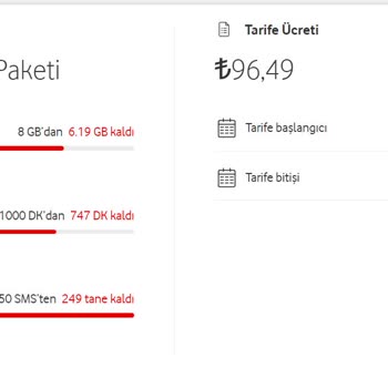 Yurt Dışı Kullanımında Yaşanan Sorun ve Yanıltıcı Bilgilendirme