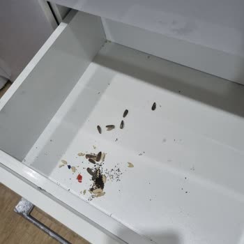 Sefa Termal Afyon Gazlıgöl'de Hayal Kırıklığı Yaşatan Termal Tatil