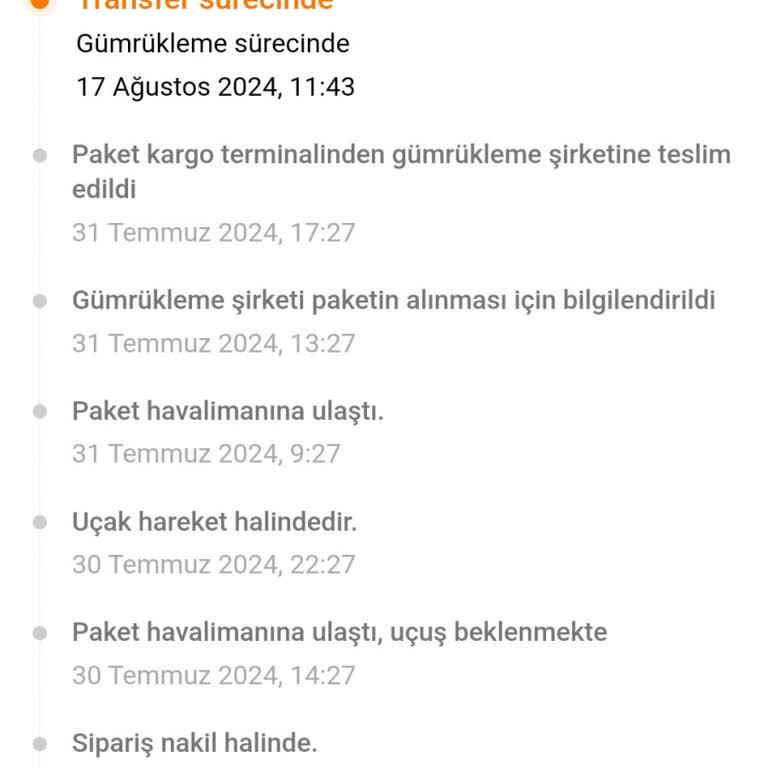 Temu Siparişlerinde Gümrük Süreci Uzatıldı Mı