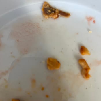 Bereket Döner Kemik Çıkma Sorunu