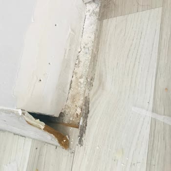 Vestel'İN Ürününe Sahip Çıkmaması