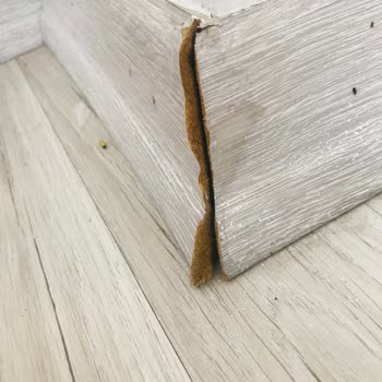 Vestel'İN Ürününe Sahip Çıkmaması