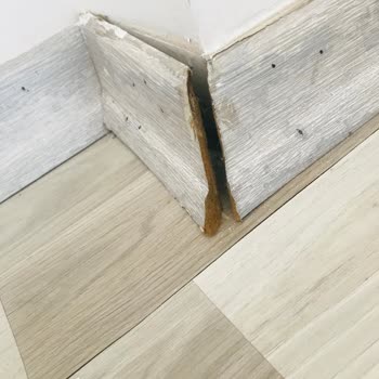 Vestel'İN Ürününe Sahip Çıkmaması