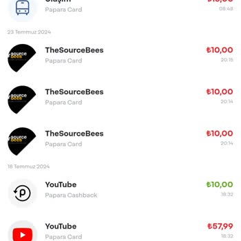 Thesourcebees.com Papara İzinsiz Para Çekimi