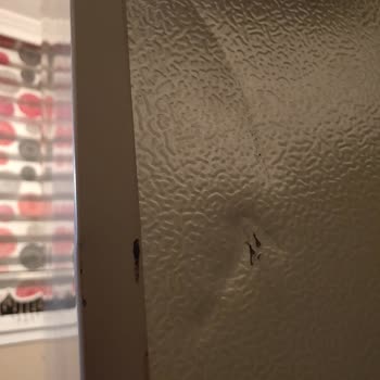 Vestel Buzdolabı Sorunları Ve Hizmet Eksikliği