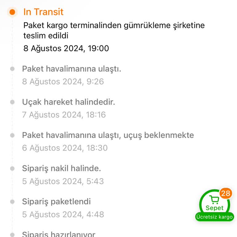 MNG Kargo, Temu Uygulaması Gümrükleme Sorunu