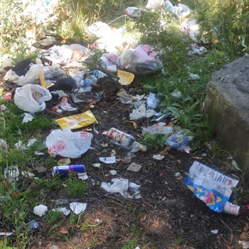 Ardahan Belediyesi Tepeler Köyü Mesire Alanı Çöp Sorunu