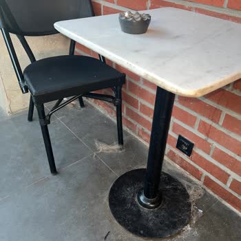 Starbucks Ta Ki Köpek Tüyü Sorunu