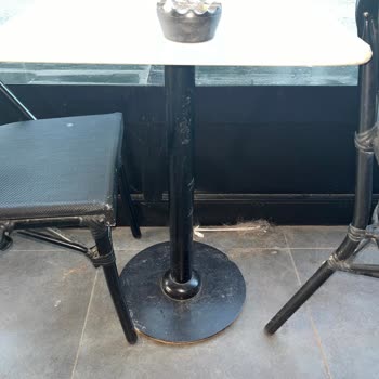 Starbucks Ta Ki Köpek Tüyü Sorunu