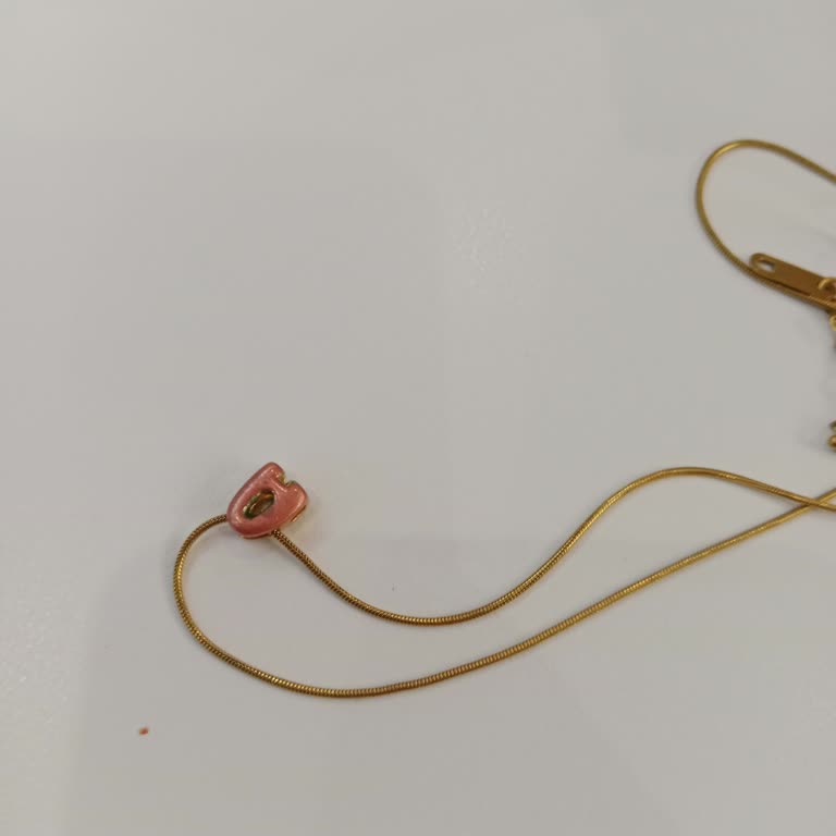 ARC Accessories Paslı Kolyeyi Çelik Diye Satıyorlar