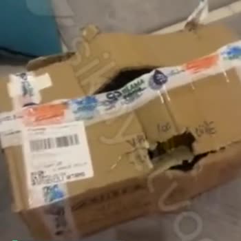 Sürat Kargo Parçalanmış, Paket Kırık Malzemeler