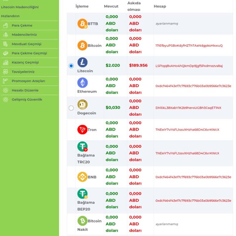 Ltcautomining Paramı Aldılar