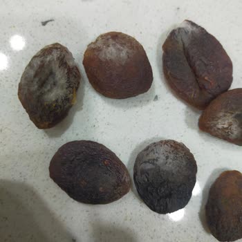 Çerezya Gün Kurusu Kayısı Da Küflenme