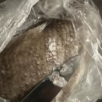 5M Migros Antalya Balık Satmasa Mı