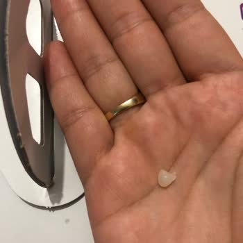 Tatbak Gıda Pastada Yabancı Cisim