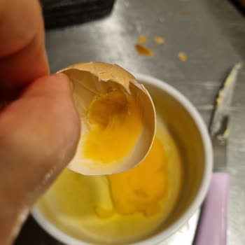 Şişman Yumurta Şişman Organik Yumurtanın İçi Siyah