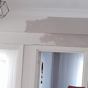 Polisan Yanlış Renk Seçimi Ve Boya Kartelası Sorunu