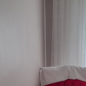 Polisan Yanlış Renk Seçimi Ve Boya Kartelası Sorunu