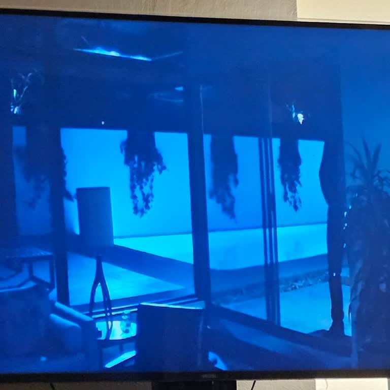 Vestel Netflix Renk Ve Parlaklık Sorunu