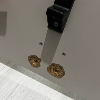 Weltew Home Weltewden Almış Olduğum Yatak Odası MDF Değil Suntaymış