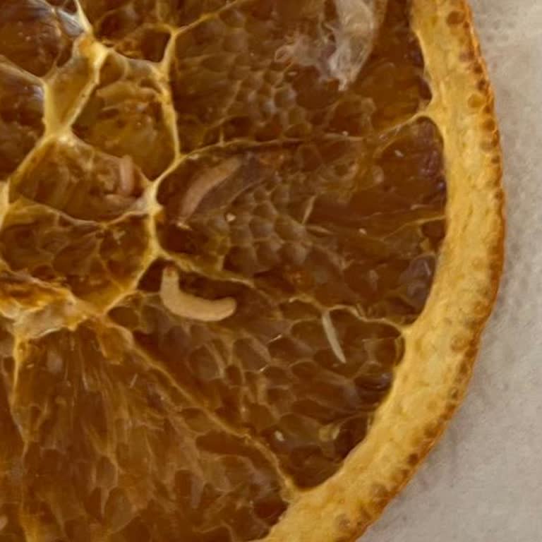 Adalya Organizasyon Adalia Organizasyon Antalya İlinde