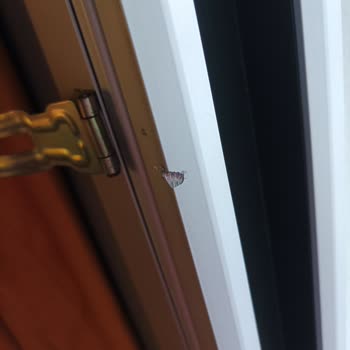 Jura Hotels Bodrum Resort Odaya Hırsız Girdi