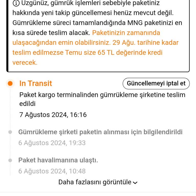 Temu Gecikiyor Neden. Gümrük Mü Yoksa Kargo MNG Mi.