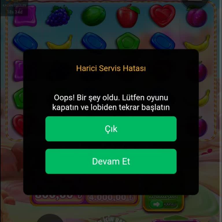 Zlot Harici Sağlayıcı Hatası Alıyorum