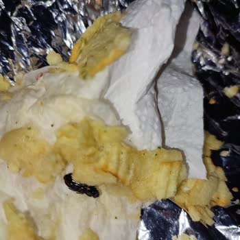 Disgusting Discovery in Lay's Oven Chips: A Beetle Found in My Snack
