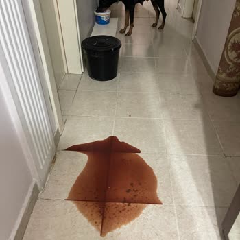 Nd Ve Hepsiburada Firmalarından Şikayetçiyim