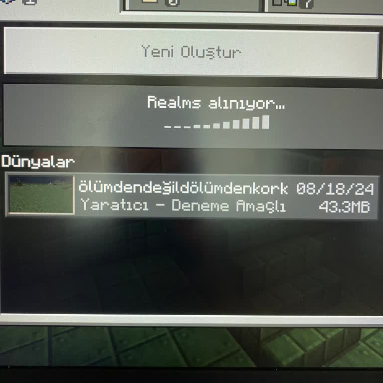 Realms Sorunu Mojang