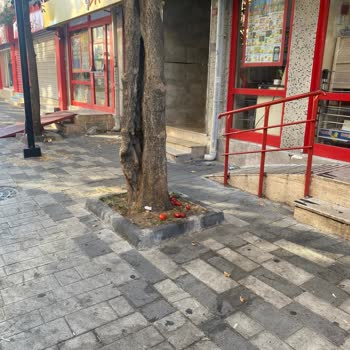 Şok Marketlerdeki Hijyen Eksikliği