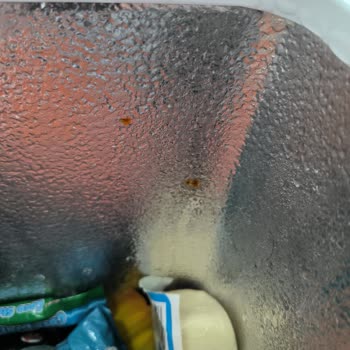 Bosch Kendi Üretim Hatasına Sahip Çıkmıyor