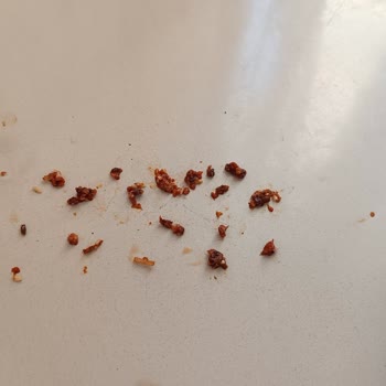 Migros'un Etinden Çıkan Tuhaf Şeyler