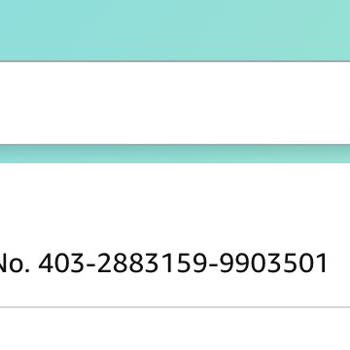 Amazon Dan Yapılan Alışveriş