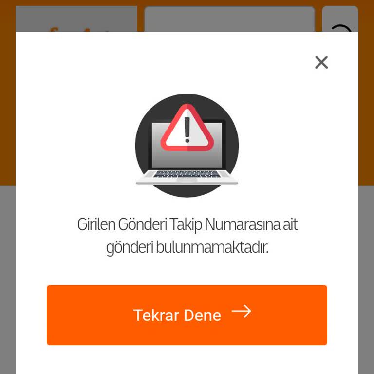 MNG Kargo Kargo Takibinin Sistemde Görülmemesi