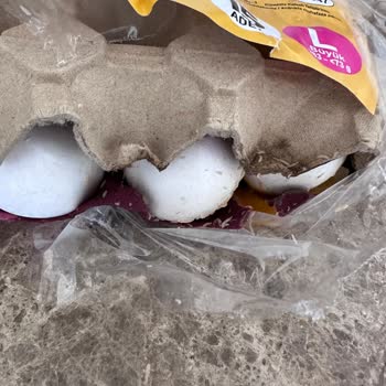 Migros Sanal Market'ten Gelen Kurtlu Yumurta Şikayeti