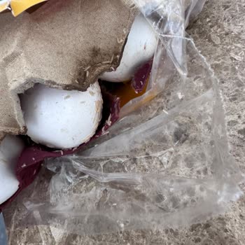 Migros Sanal Market'ten Gelen Kurtlu Yumurta Şikayeti