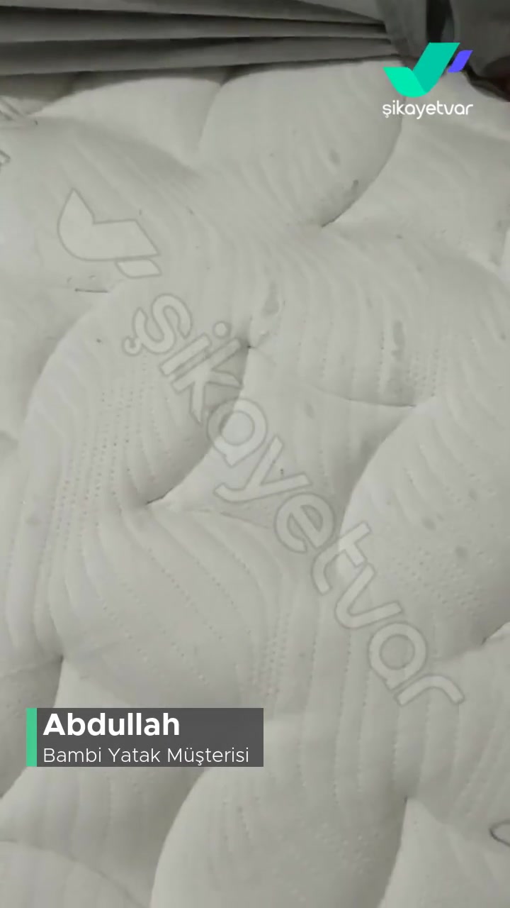 Bambi Yatak Üstündeki Yırtılmalar! videonun kapak resmi