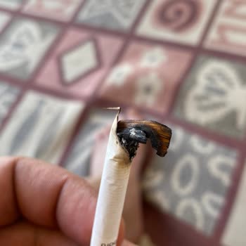 Philip Morris Sigara İçinden Çıkan Tütün Odunu
